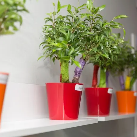 Appartamento Azure Senglea