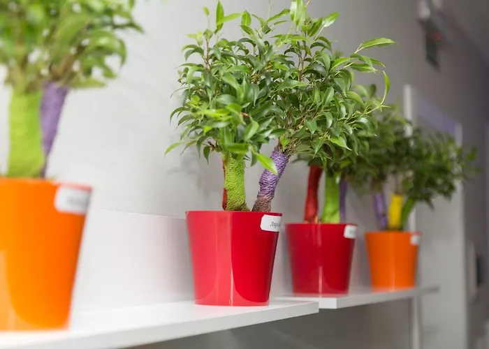 Apartamento Azure Senglea